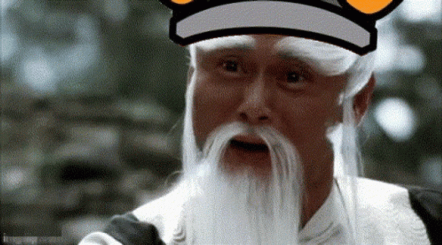 Pai Peimei Floki Inu GIF