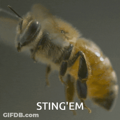 Painful Bee Sting GIF