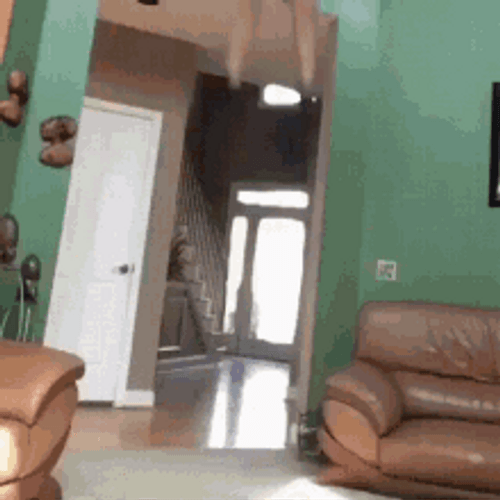 Painful High Drop GIF