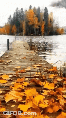 Painting Of A Dock With Leaves On Ground GIF