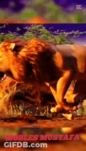 Painting Of Lion Named Mobles Mustafa GIF