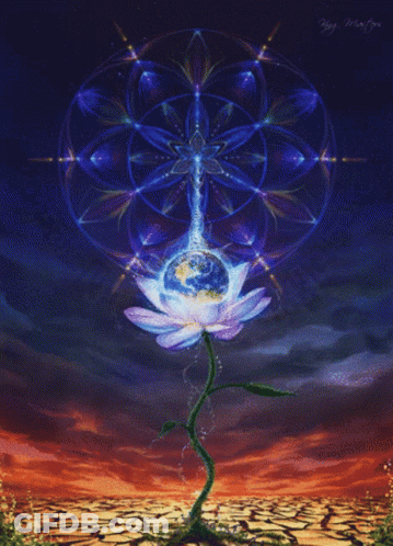 Painting Of Lotus Flower With Globe In Center GIF