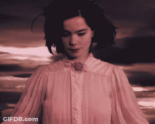 Painting Of Woman Named Bjork GIF