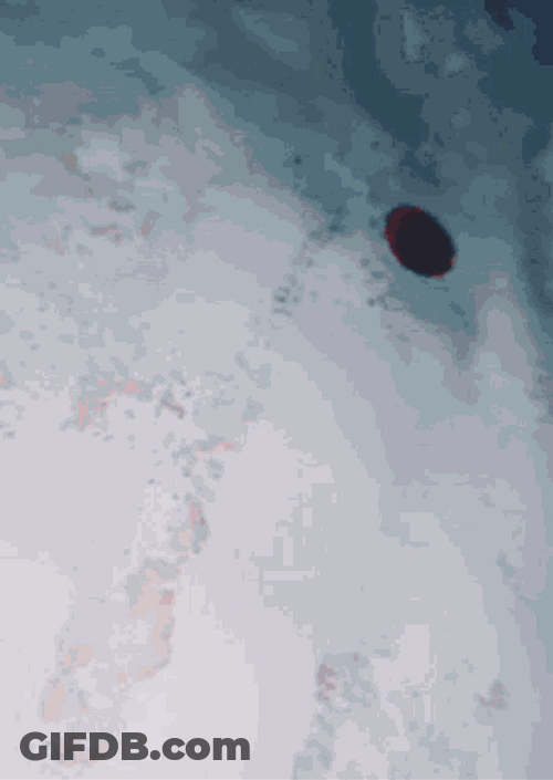 Painting With Blood GIF