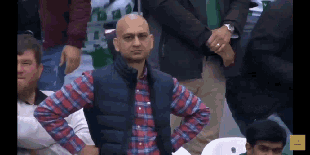 Pakistan Cricket Fan Pakistan Fan GIF