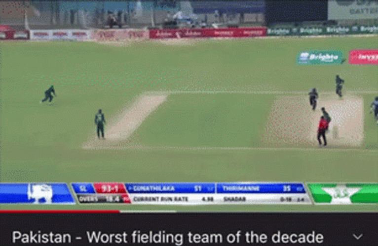 Pakistan Fielding In Crickets Meme Game GIF