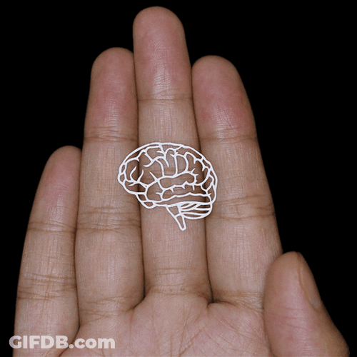 Palm Sharp Brain Illustration GIF