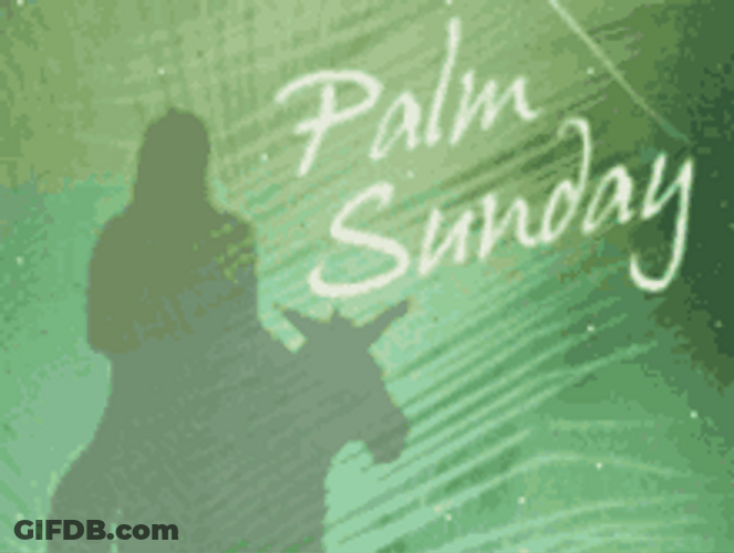 Palm Sunday Jesus Shadow Visual Art GIF