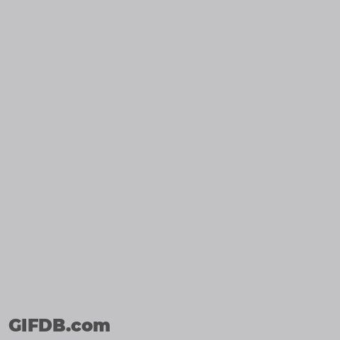 Palm Tree Named Priscell GIF