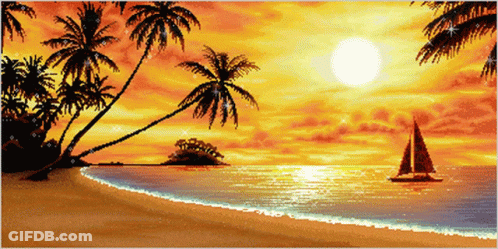 Palm Tree On Beach With Acbka GIF