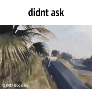 Palm Tree Saying Didnt Ask GIF