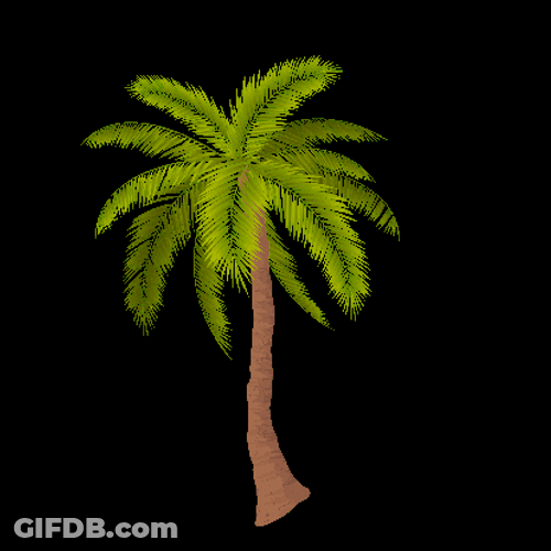 Palm Tree Swaying Graphics Art GIF