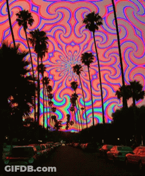 Palm Trees Acid Trip GIF