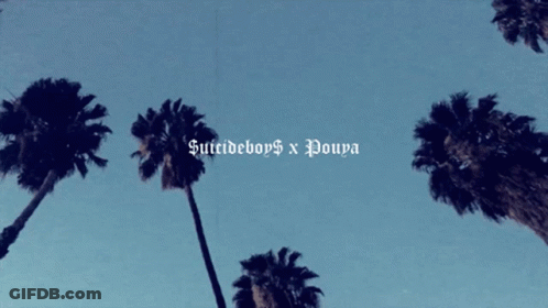 Palm Trees Against A Blue Sky With The Words Suicideboys X Poupa Below Them GIF