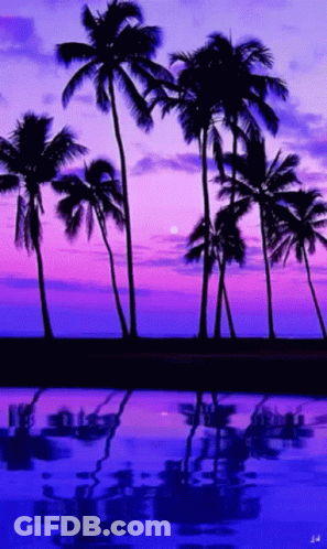 Palm Trees Against Purple And Pink Sky GIF