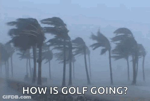 Palm Trees Blowing In Wind How Is Golf Going GIF