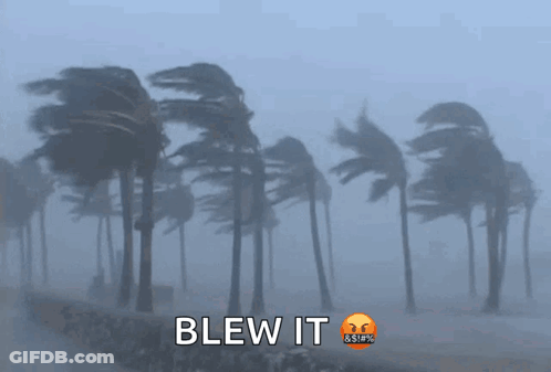 Palm Trees Blowing In Wind Saying Blew It GIF
