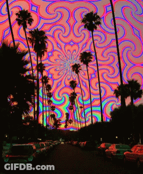 Palm Trees Silhouetted Against Colorful Swirl GIF