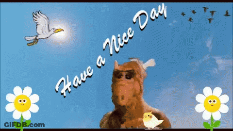 Palm Trees Silhouetted Against Sunset Sky GIF