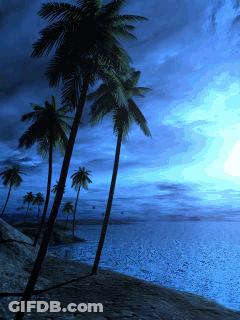 Palm Trees Silhouetted Blue Sky Ocean GIF