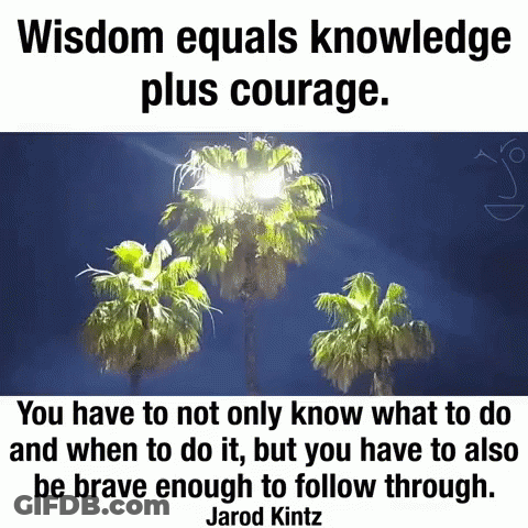 Palm Trees With Jarod Kintz Quote GIF