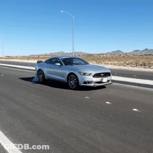Palomar Mountain Mustang GT GIF