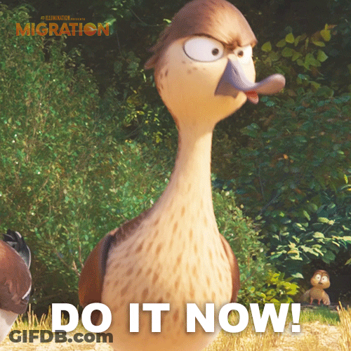 Pam Mallard Migration Do It Now GIF