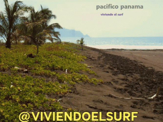 Panama Beach Shores GIF