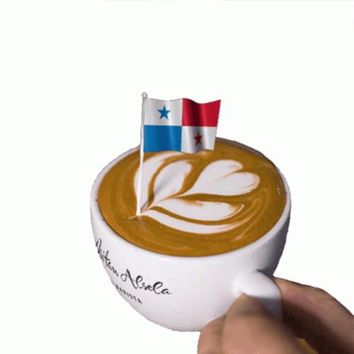 Panama Flag In Coffee GIF