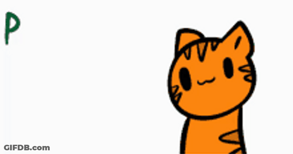 Pancakes Waffles Cute Cat GIF