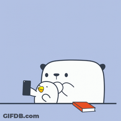 Panda And Bird Taking Selfie With Dog GIF