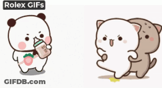 Panda And Cat Holding Milk Bottles GIF