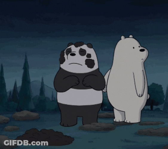 Panda And Ice Bear GIF