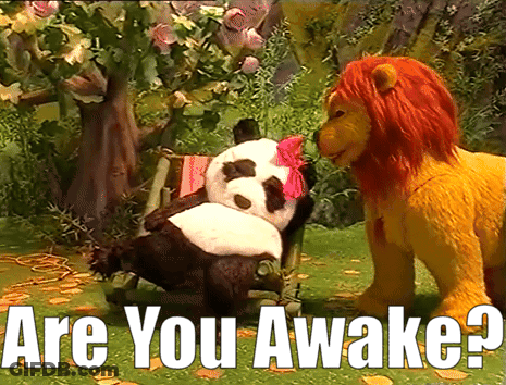 Panda And Lion Next To Are You Awake GIF