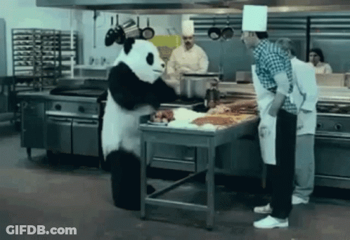 Panda Angry GIF