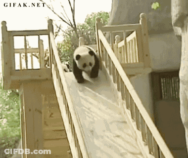 Panda Bear Going Down Wooden Slide GIF