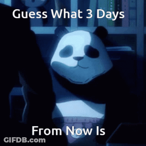 Panda Bear Guess What 3 Days From Now GIF