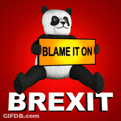 Panda Bear Holding Blame It On Brexit Sign GIF