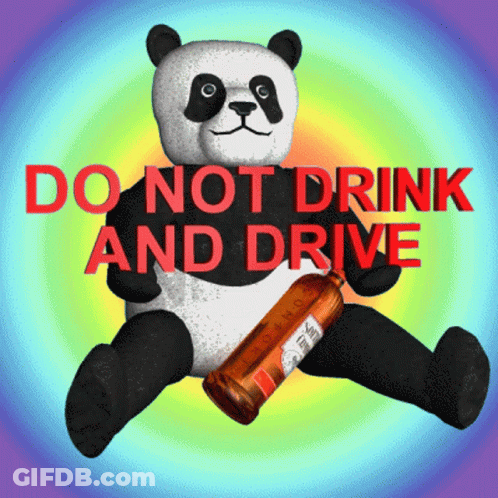 Panda Bear Holding Bottle Saying Do Not Drink And Drive GIF