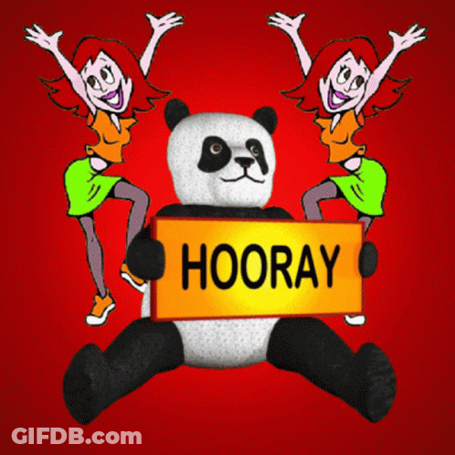 Panda Bear Holding Hooray Sign GIF