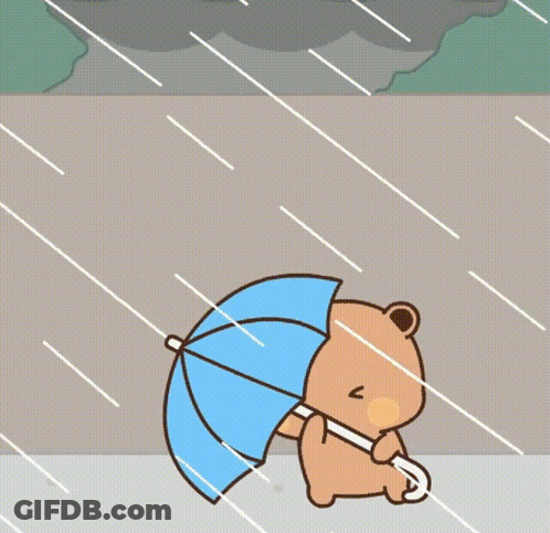 Panda Bear Holding Umbrella With Blue Umbrella Bear GIF