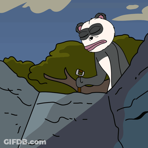 Panda Bear Holding White Object GIF