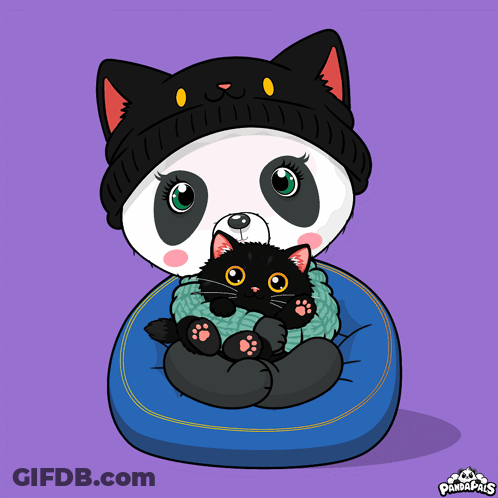 Panda Bear In Black Hat And Sweater Holding Black Cat GIF