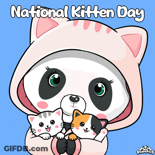 Panda Bear In Black Hat Holding Black Cat GIF