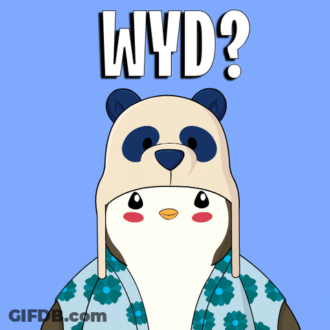 Panda Bear In Floral Shirt And WYD Hat GIF
