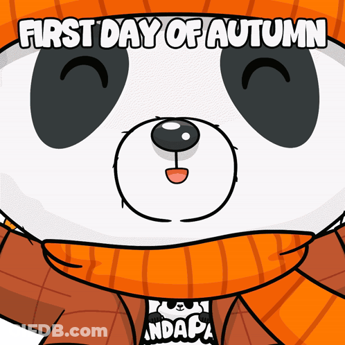 Panda Bear In Orange Scarf And Hat First Day Of Autumn GIF