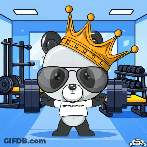 Panda Bear In Sunglasses And Crown Holding Barbell GIF