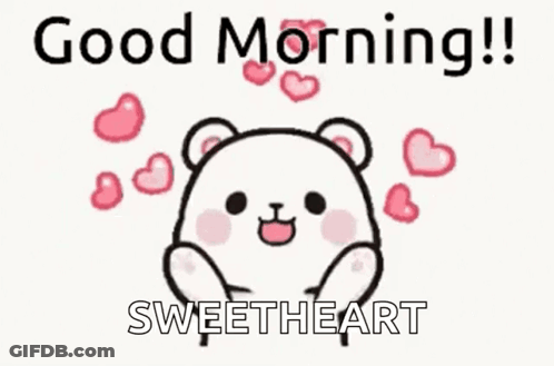 Panda Bear In Sunglasses And Hat Dancing Saying I Love You GIF