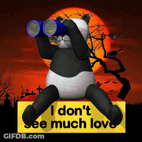 Panda Bear Looking Through Binoculars GIF