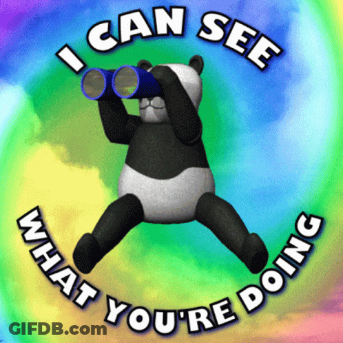 Panda Bear Looking Through Binoculars I Can See What You're Doing GIF